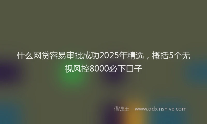 什么网贷容易审批成功2025年精选，概括5个无视风控8000必下口子