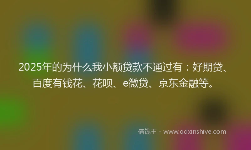 2025年的为什么我小额贷款不通过有：好期贷、百度有钱花、花呗、e微贷、京东金融等。
