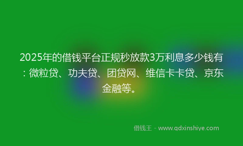 2025年的借钱平台正规秒放款3万利息多少钱有：微粒贷、功夫贷、团贷网、维信卡卡贷、京东金融等。