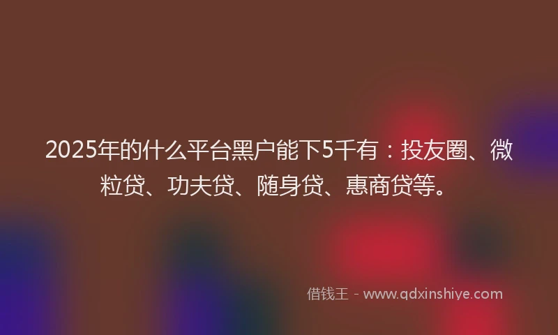 2025年的什么平台黑户能下5千有：投友圈、微粒贷、功夫贷、随身贷、惠商贷等。