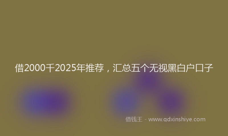 借2000千2025年推荐，汇总五个无视黑白户口子