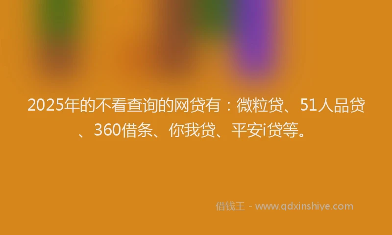 2025年的不看查询的网贷有：微粒贷、51人品贷、360借条、你我贷、平安i贷等。