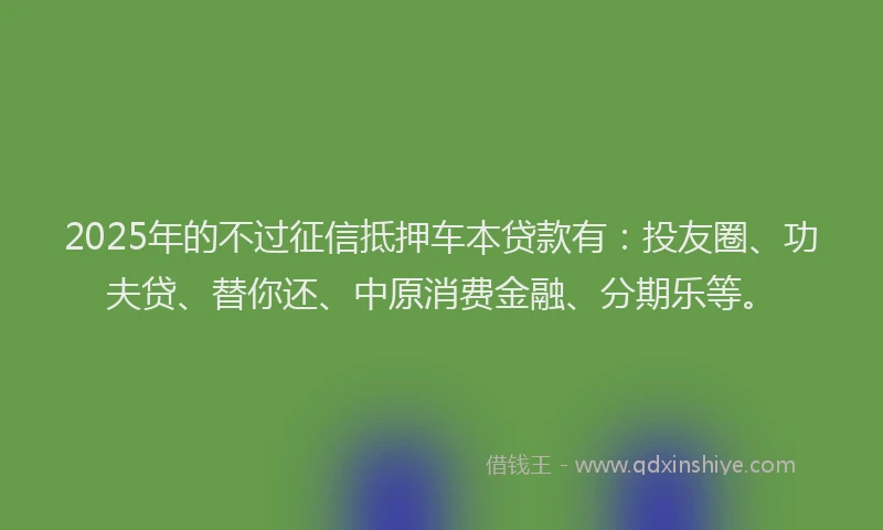 2025年的不过征信抵押车本贷款有：投友圈、功夫贷、替你还、中原消费金融、分期乐等。