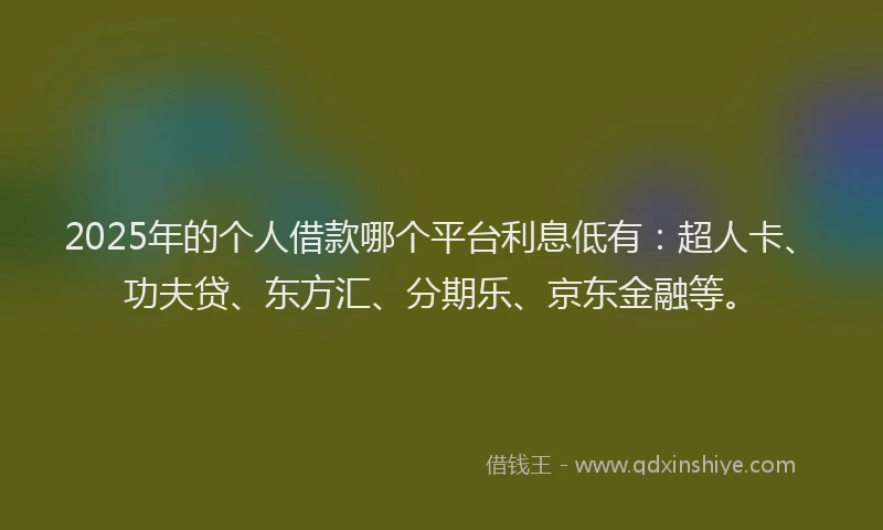2025年的个人借款哪个平台利息低有：超人卡、功夫贷、东方汇、分期乐、京东金融等。