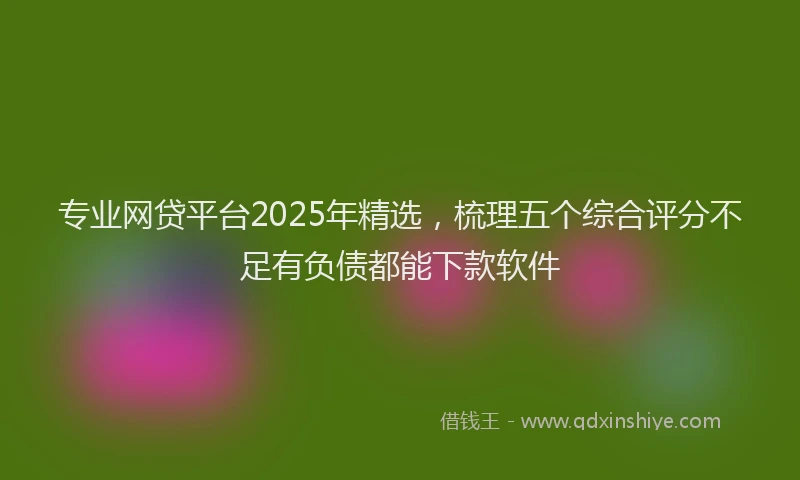 专业网贷平台2025年精选，梳理五个综合评分不足有负债都能下款软件