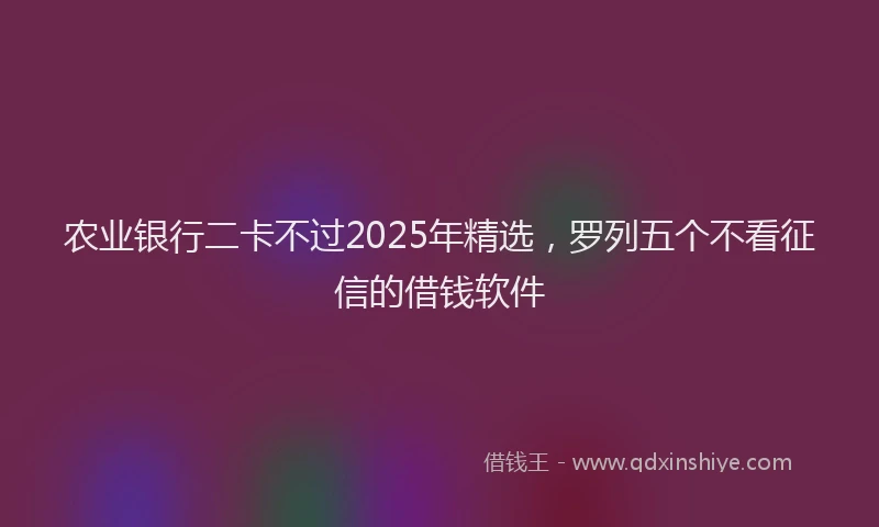 农业银行二卡不过2025年精选，罗列五个不看征信的借钱软件