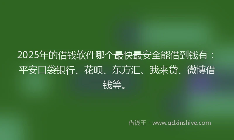 2025年的借钱软件哪个最快最安全能借到钱有：平安口袋银行、花呗、东方汇、我来贷、微博借钱等。