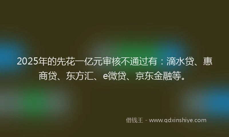 2025年的先花一亿元审核不通过有：滴水贷、惠商贷、东方汇、e微贷、京东金融等。