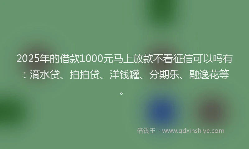 2025年的借款1000元马上放款不看征信可以吗有：滴水贷、拍拍贷、洋钱罐、分期乐、融逸花等。