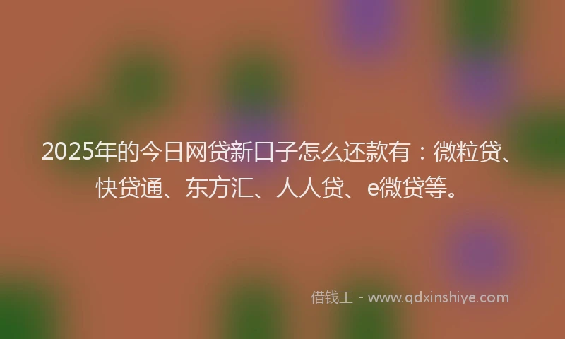 2025年的今日网贷新口子怎么还款有：微粒贷、快贷通、东方汇、人人贷、e微贷等。