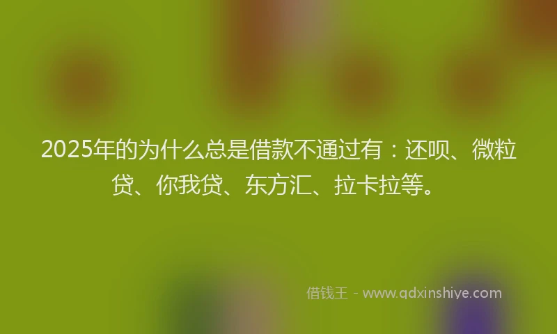 2025年的为什么总是借款不通过有：还呗、微粒贷、你我贷、东方汇、拉卡拉等。
