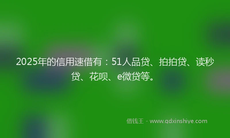 2025年的信用速借有：51人品贷、拍拍贷、读秒贷、花呗、e微贷等。
