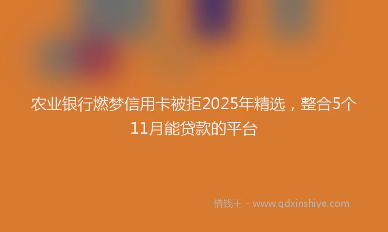 农业银行燃梦信用卡被拒2025年精选，整合5个11月能贷款的平台