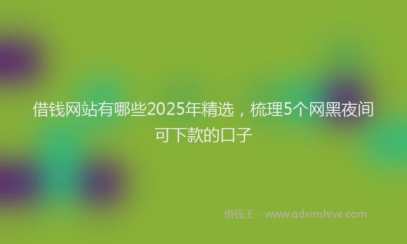 借钱网站有哪些2025年精选，梳理5个网黑夜间可下款的口子