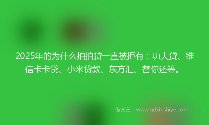 2025年的为什么拍拍贷一直被拒有：功夫贷、维信卡卡贷、小米贷款、东方汇、替你还等。