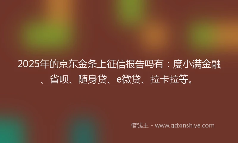 2025年的京东金条上征信报告吗有：度小满金融、省呗、随身贷、e微贷、拉卡拉等。