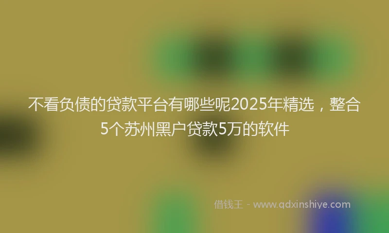 不看负债的贷款平台有哪些呢2025年精选，整合5个苏州黑户贷款5万的软件
