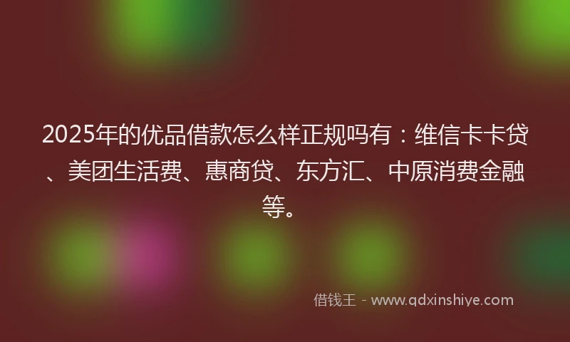 2025年的优品借款怎么样正规吗有：维信卡卡贷、美团生活费、惠商贷、东方汇、中原消费金融等。
