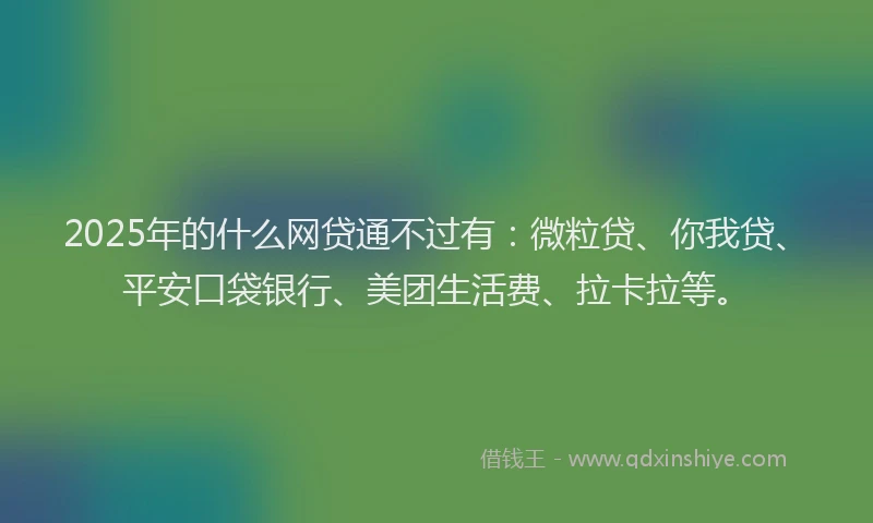 2025年的什么网贷通不过有：微粒贷、你我贷、平安口袋银行、美团生活费、拉卡拉等。