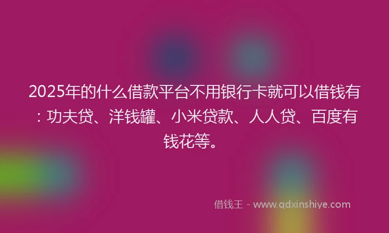 2025年的什么借款平台不用银行卡就可以借钱有：功夫贷、洋钱罐、小米贷款、人人贷、百度有钱花等。