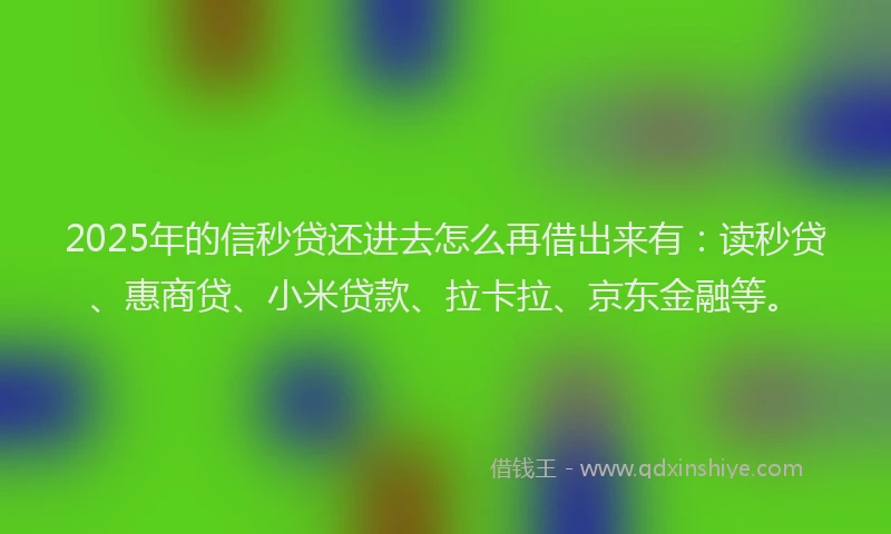 2025年的信秒贷还进去怎么再借出来有：读秒贷、惠商贷、小米贷款、拉卡拉、京东金融等。