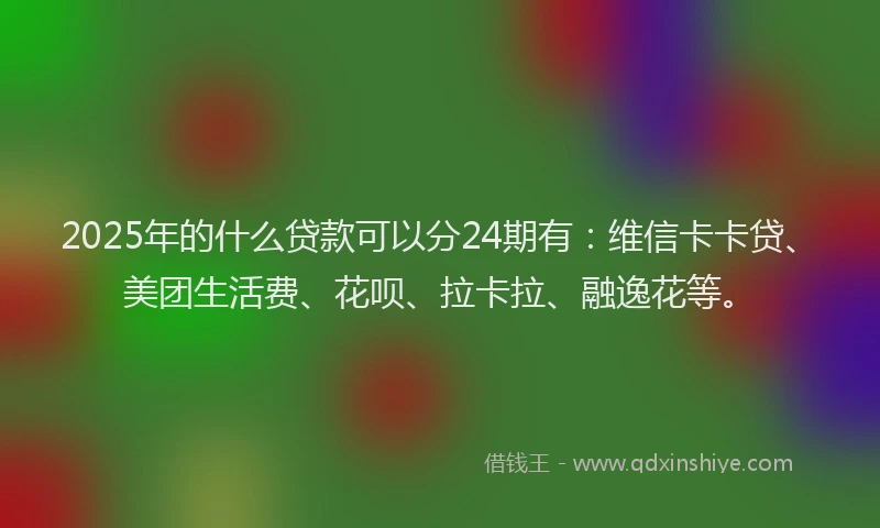 2025年的什么贷款可以分24期有：维信卡卡贷、美团生活费、花呗、拉卡拉、融逸花等。