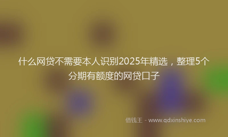 什么网贷不需要本人识别2025年精选，整理5个分期有额度的网贷口子