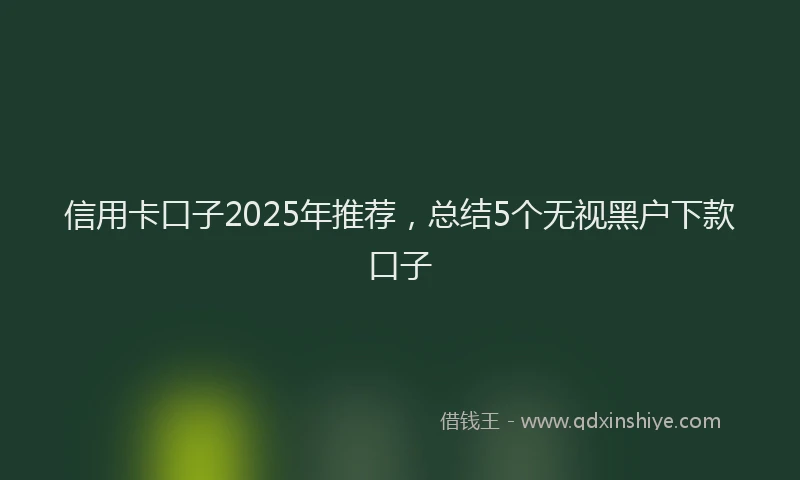 信用卡口子2025年推荐，总结5个无视黑户下款口子