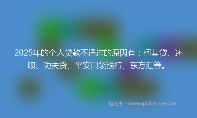2025年的个人贷款不通过的原因有：柯基贷、还呗、功夫贷、平安口袋银行、东方汇等。