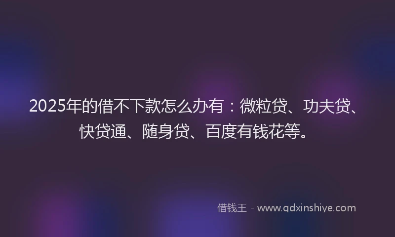 2025年的借不下款怎么办有：微粒贷、功夫贷、快贷通、随身贷、百度有钱花等。