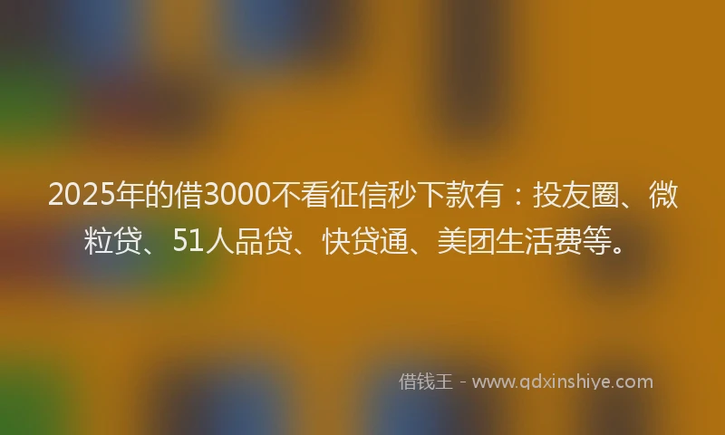 2025年的借3000不看征信秒下款有:投友圈、微粒贷、51人品贷、快贷通、美团生活费等。