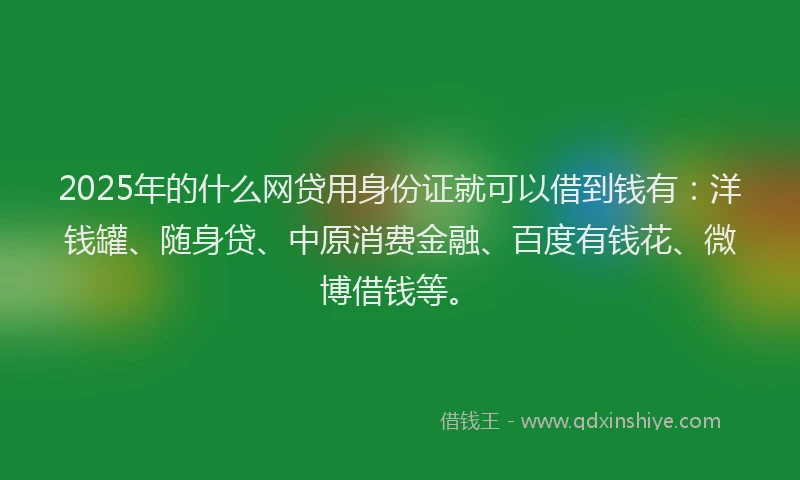 2025年的什么网贷用身份证就可以借到钱有：洋钱罐、随身贷、中原消费金融、百度有钱花、微博借钱等。