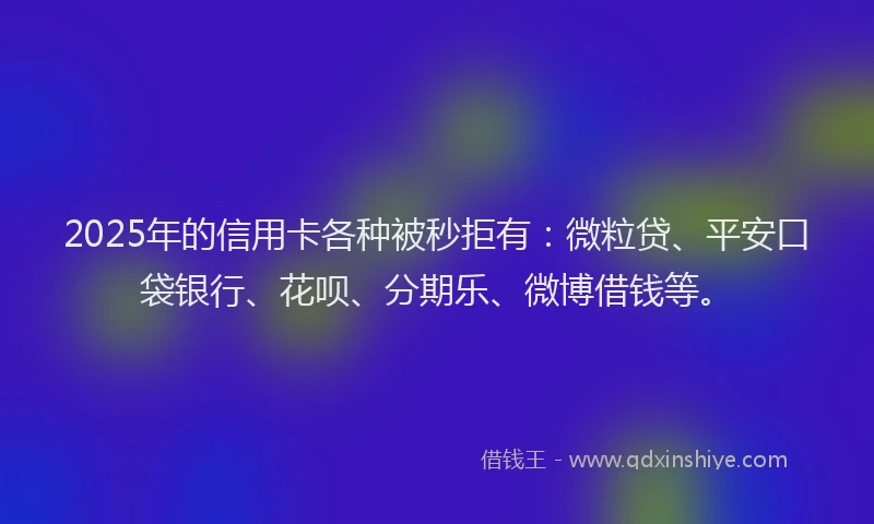 2025年的信用卡各种被秒拒有：微粒贷、平安口袋银行、花呗、分期乐、微博借钱等。