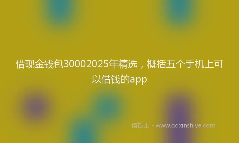 借现金钱包30002025年精选，概括五个手机上可以借钱的app