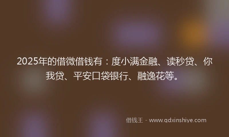 2025年的借微借钱有：度小满金融、读秒贷、你我贷、平安口袋银行、融逸花等。