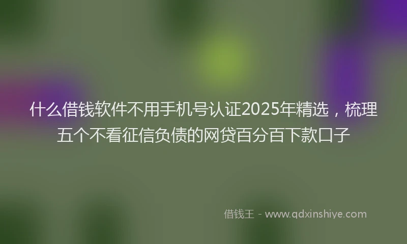 什么借钱软件不用手机号认证2025年精选，梳理五个不看征信负债的网贷百分百下款口子