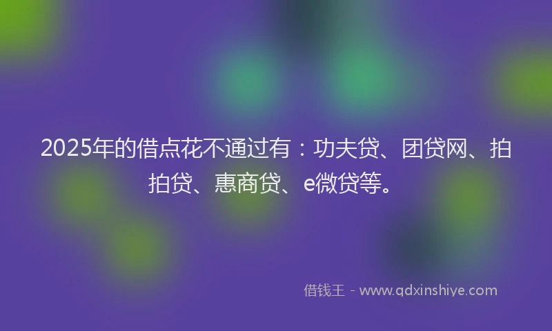 2025年的借点花不通过有：功夫贷、团贷网、拍拍贷、惠商贷、e微贷等。