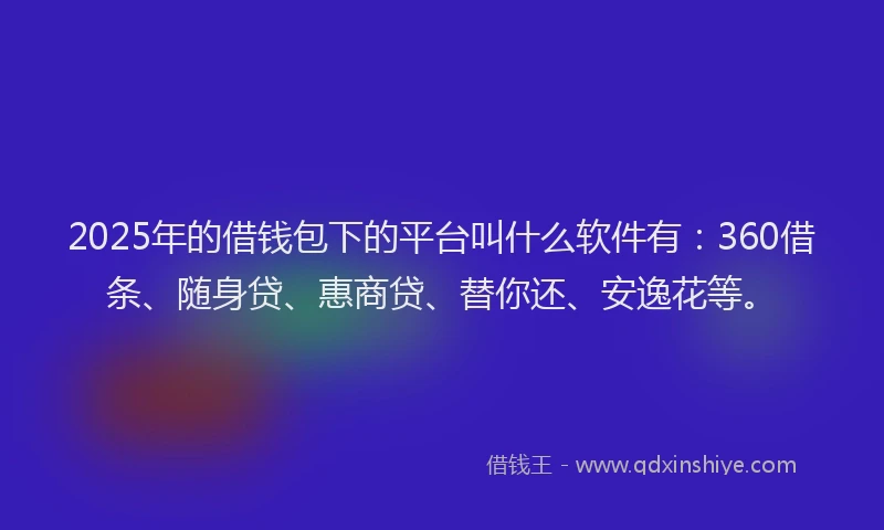 2025年的借钱包下的平台叫什么软件有：360借条、随身贷、惠商贷、替你还、安逸花等。