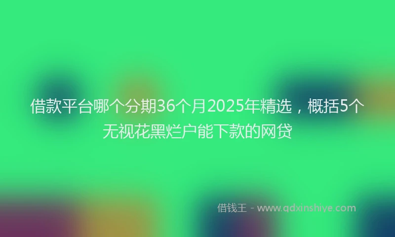 借款平台哪个分期36个月2025年精选，概括5个无视花黑烂户能下款的网贷