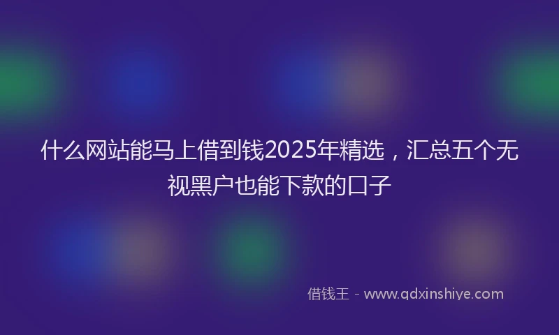 什么网站能马上借到钱2025年精选，汇总五个无视黑户也能下款的口子