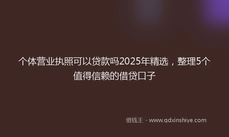 个体营业执照可以贷款吗2025年精选，整理5个值得信赖的借贷口子