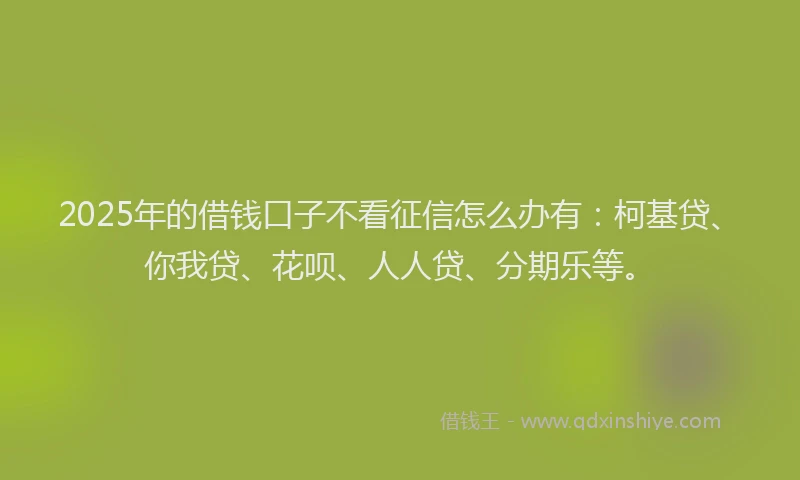 2025年的借钱口子不看征信怎么办有：柯基贷、你我贷、花呗、人人贷、分期乐等。
