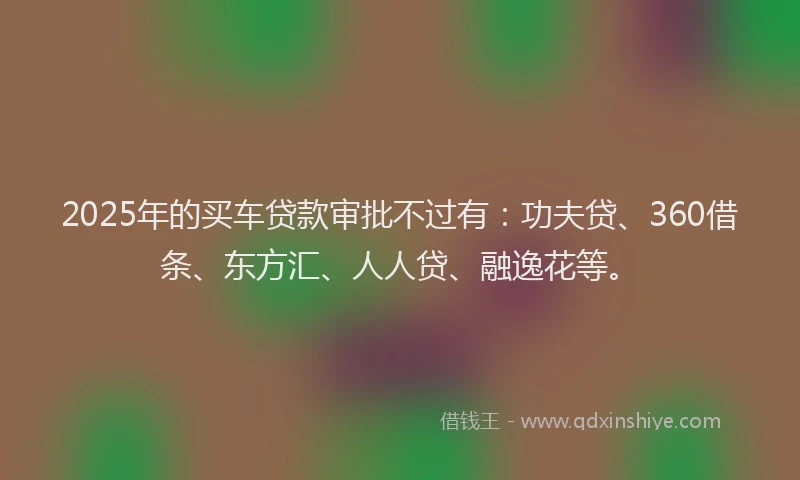 2025年的买车贷款审批不过有：功夫贷、360借条、东方汇、人人贷、融逸花等。