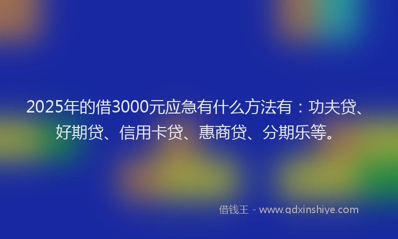 2025年的借3000元应急有什么方法有：功夫贷、好期贷、信用卡贷、惠商贷、分期乐等。