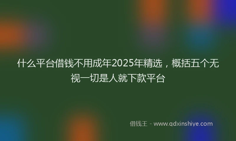 什么平台借钱不用成年2025年精选，概括五个无视一切是人就下款平台
