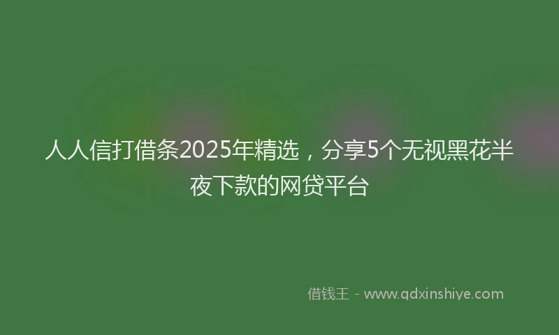 人人信打借条2025年精选，分享5个无视黑花半夜下款的网贷平台