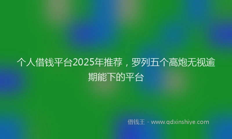 个人借钱平台2025年推荐，罗列五个高炮无视逾期能下的平台