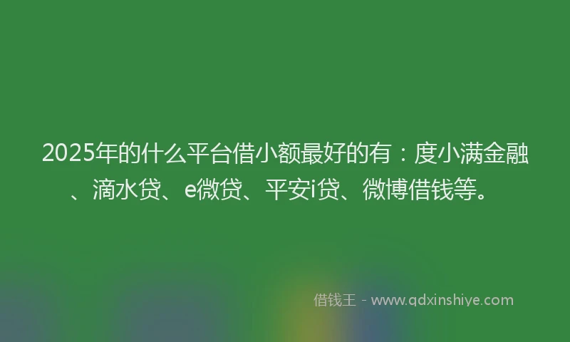 2025年的什么平台借小额最好的有：度小满金融、滴水贷、e微贷、平安i贷、微博借钱等。