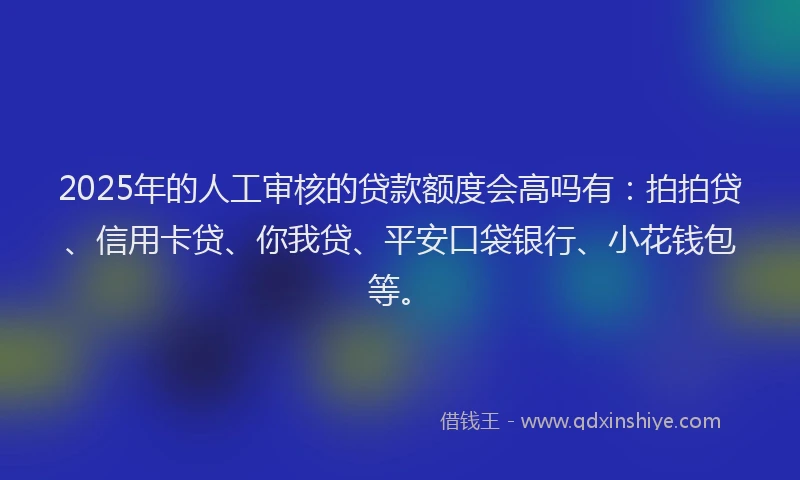 2025年的人工审核的贷款额度会高吗有：拍拍贷、信用卡贷、你我贷、平安口袋银行、小花钱包等。