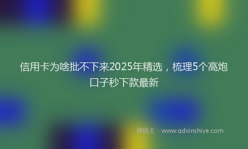 信用卡为啥批不下来2025年精选，梳理5个高炮口子秒下款最新